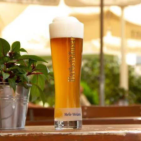 Zum Ochsen * Westernhausen